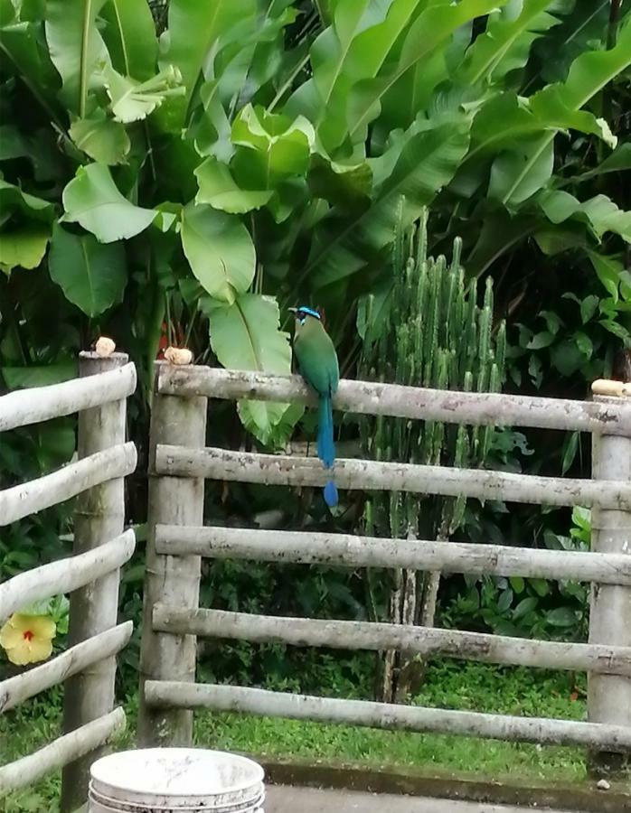 Casa Campesina Hostel อาร์เมเนีย ภายนอก รูปภาพ